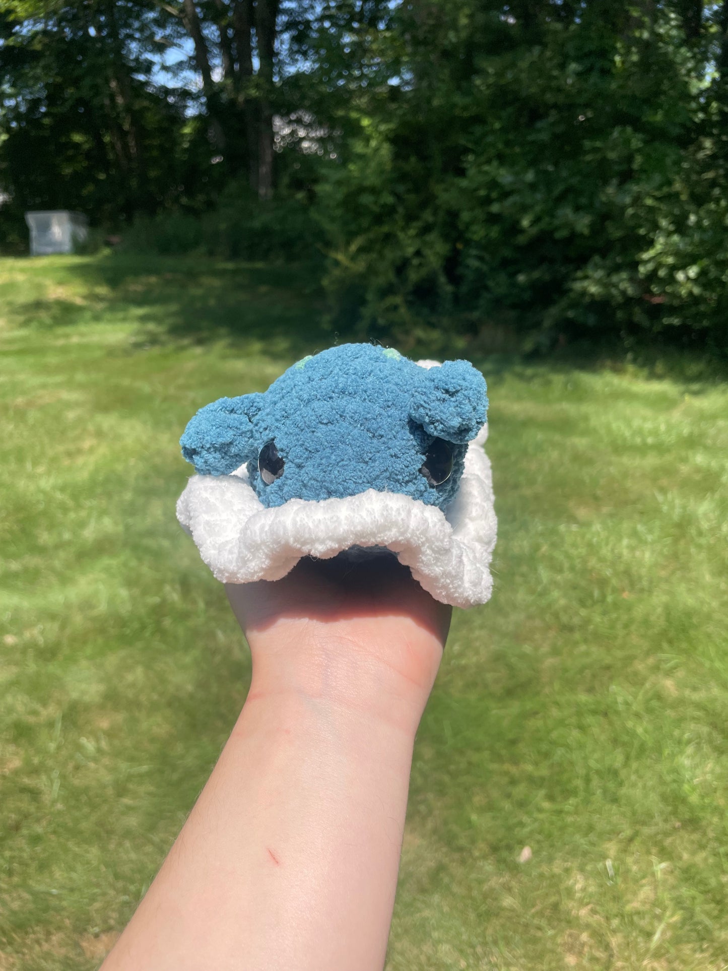 Sea Slug