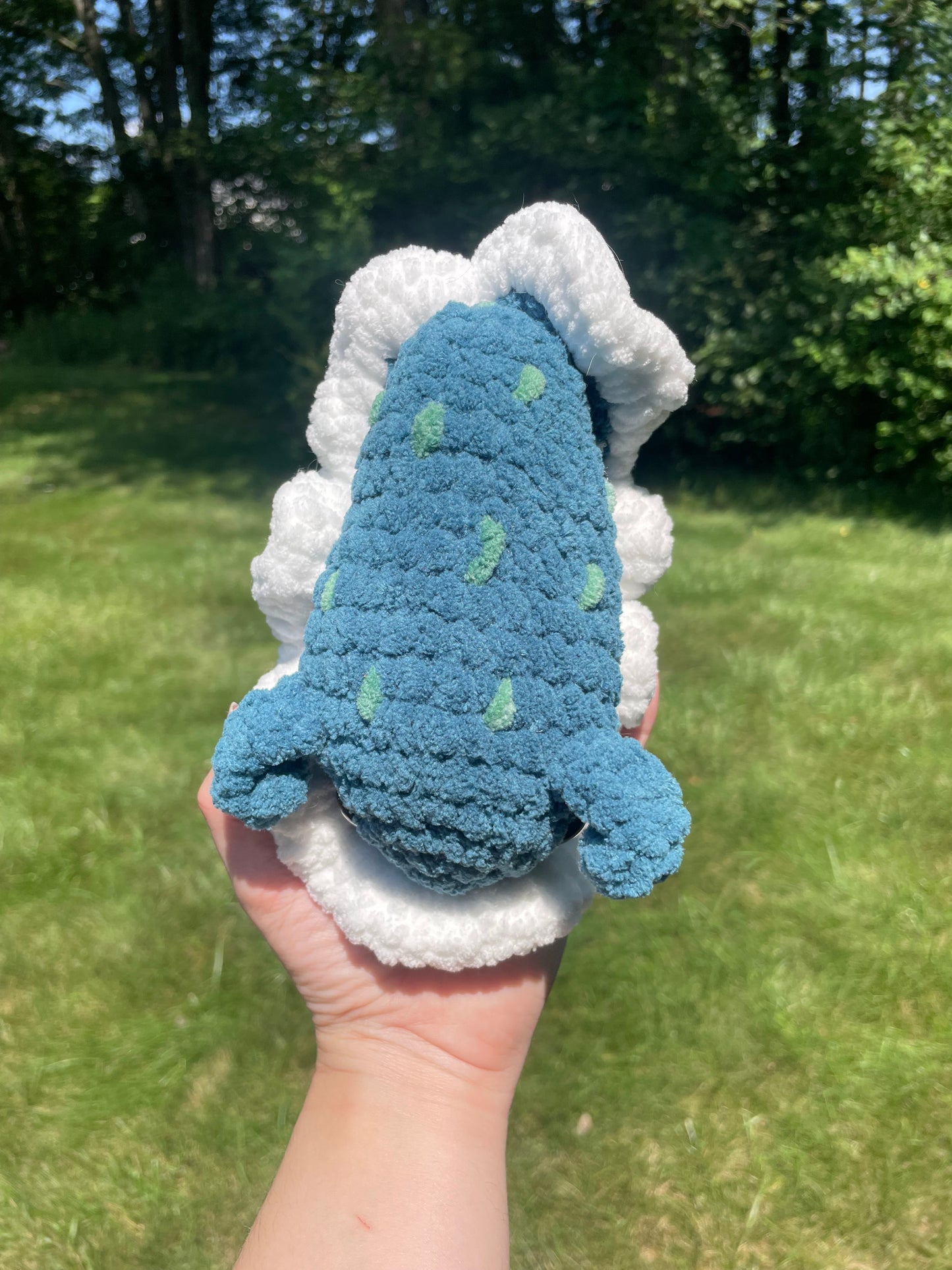 Sea Slug