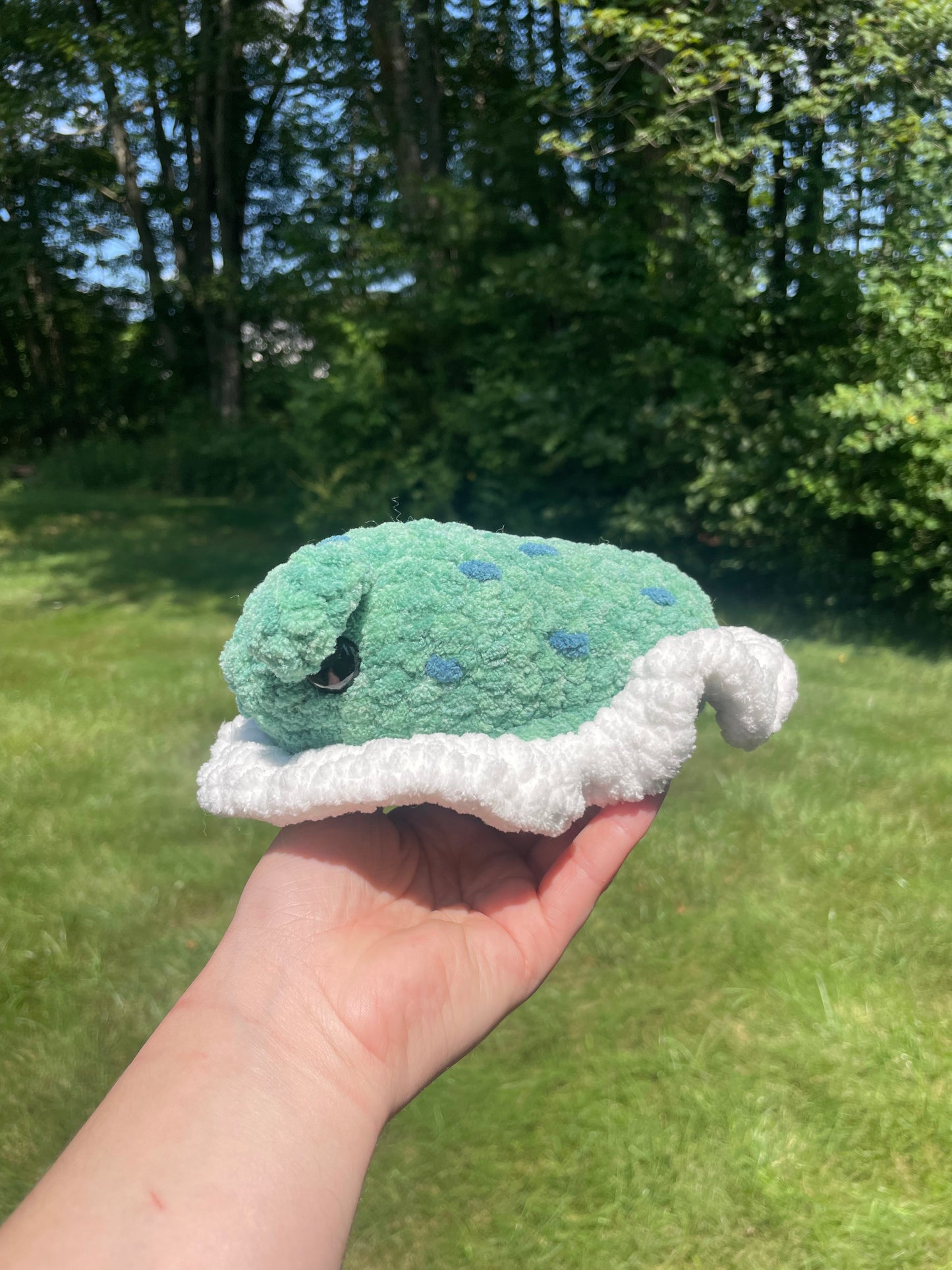 Sea Slug