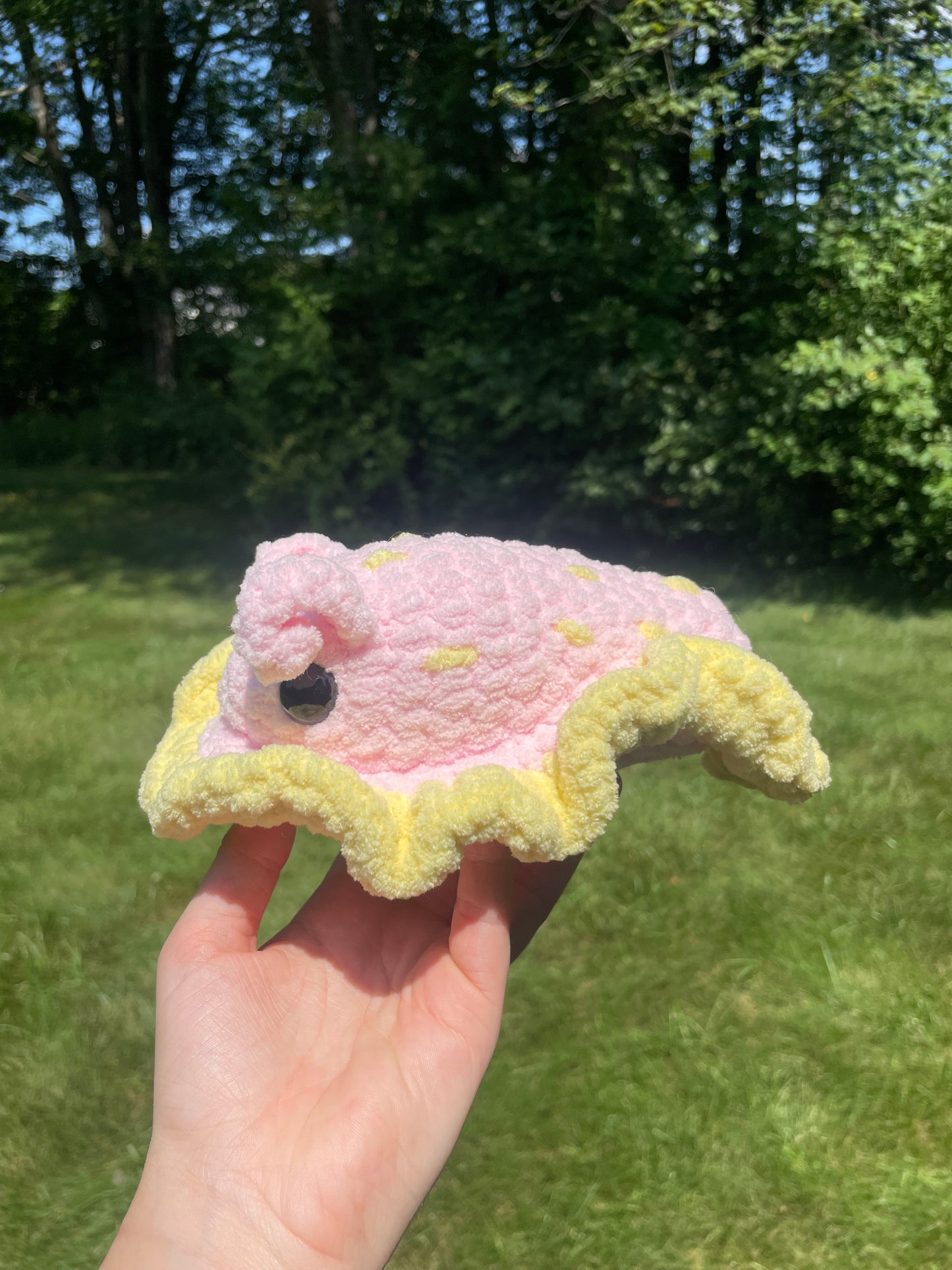 Sea Slug